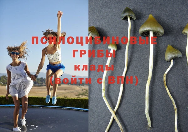 альфа пвп Балахна